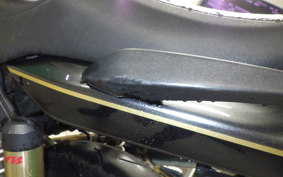 KAWASAKI ZRX1200 D 2009 ZRT20D