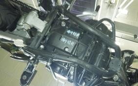 KAWASAKI KLX250D TRACKER X LX250V