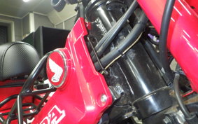 HONDA CT125 HUNTER CUB