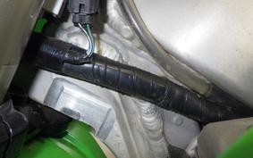 KAWASAKI KX250 2024 KX252C