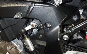 BMW S1000R 2023