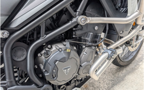TRIUMPH TIGER 900 RALLY PRO 2024 TRE67D
