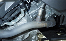 HONDA ADV160 KF54