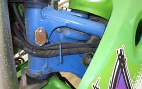 KAWASAKI KDX250SR DX250F