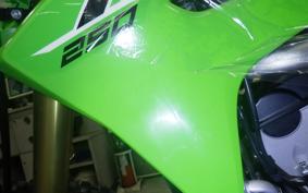 KAWASAKI KX250 2025 KX252E