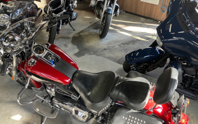 HARLEY  HARLEY FLSTCI 2006 BWB