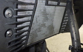 YAMAHA MT-25 2008 RG10J