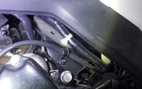 HONDA GROM 2002 JC61