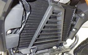 BMW G310R 2024