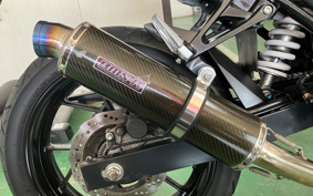 SUZUKI GSX250R DN11A