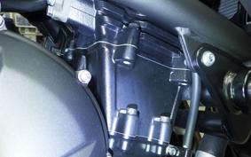 KAWASAKI VERSYS A 2025 LE650H