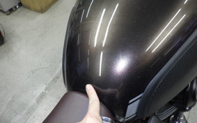 KAWASAKI W800 CAFE 2019 EJ800B