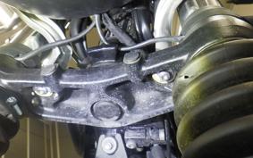 TRIUMPH SPEED TWIN 900 2024