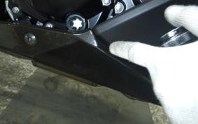 KAWASAKI NINJA 1100SX 2025 ZXT10H