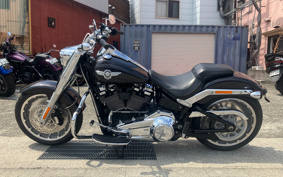 HARLEY FLFBS 2021 YGK