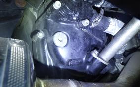 YAMAHA MAXAM 250 2024 SG21J