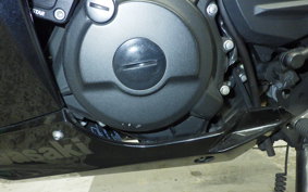 KAWASAKI NINJA 250 2020 EX250P