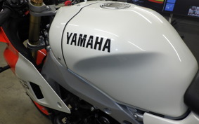 YAMAHA XSR900 GP 2024 RN96J