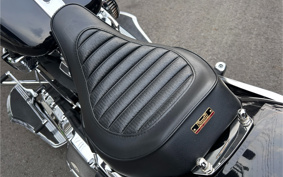 HARLEY  HARLEY FLFBS 2021 YGK