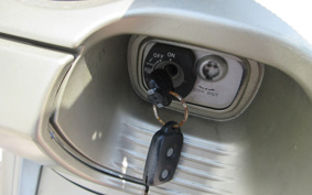 YAMAHA MAXAM 250 SG21J