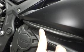 YAMAHA YZF-R25 2022 RG43J