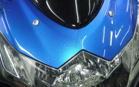 SUZUKI GSX-R1000 2010