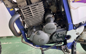 YAMAHA XSR900 2024 RN80J