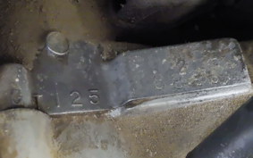 SUZUKI GT125 GT125