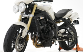 TRIUMPH STREET TRIPLE 2009 TMD406