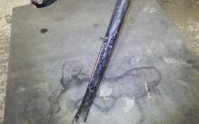 SUZUKI DJEBEL 200 (DR200SE) 2024 SH42A