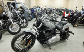 HARLEY FXBR 2024 YEZ