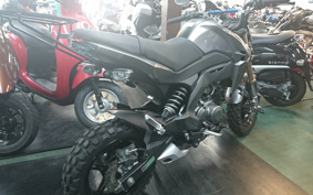 KAWASAKI Z125 PRO BR125H