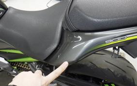 KAWASAKI Z900 Gen.2 2018 ZR900B