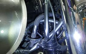 KAWASAKI W800 2024 EJ800E