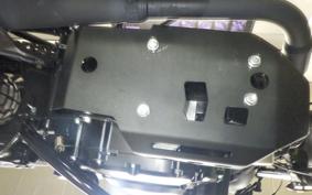 OTHER UNREGISTERED MODEL by BDS250 2019