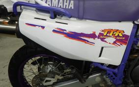 YAMAHA TT250R RAID 2024 4GY