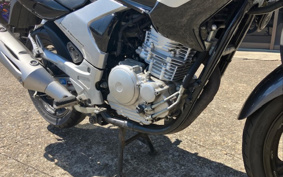 YAMAHA YBR250 PCNL