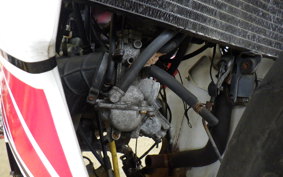 YAMAHA TZR250 RS 3XV