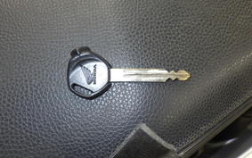 HONDA LEAD 110 2015 JF19