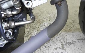 DUCATI PAUL SMART 1000 LE 2006