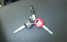 YAMAHA MT-09 Tracer 2015 RN36J