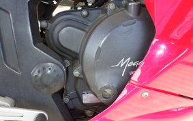 OTHER +ﾒｶﾞﾘ250R