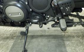 HARLEY ﾊﾟﾝ AMERICA1250S 2021