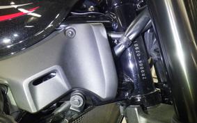 KAWASAKI Z900RS 2024 ZR900K