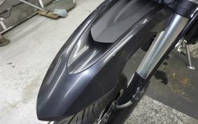KAWASAKI KLX250D TRACKER X 2013 LX250V