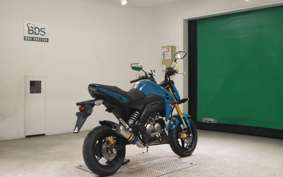 KAWASAKI Z125 PRO 2011 BR125H