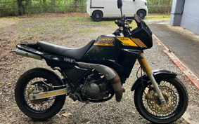 YAMAHA TDR250 2YK