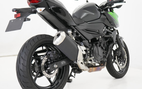 KAWASAKI Z250 EX250Y