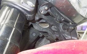 DUCATI DIAVEL Stripe 2015