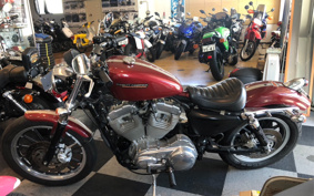 HARLEY XL883 2005 CAM